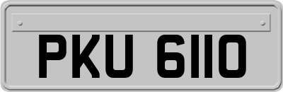 PKU6110