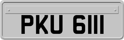 PKU6111