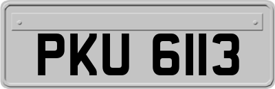 PKU6113