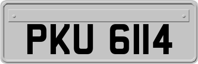 PKU6114