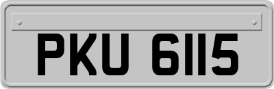 PKU6115