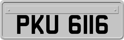PKU6116