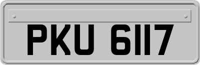 PKU6117