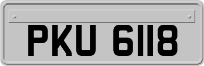 PKU6118