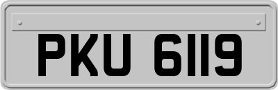 PKU6119