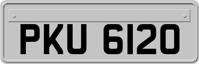 PKU6120