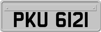 PKU6121