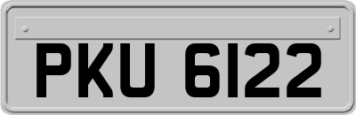 PKU6122