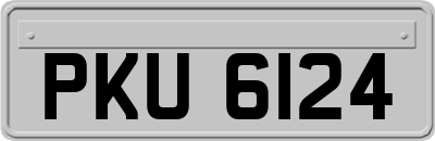 PKU6124