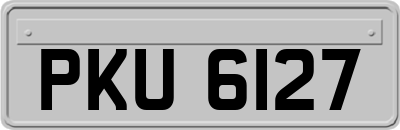 PKU6127