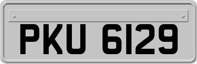 PKU6129