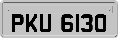 PKU6130