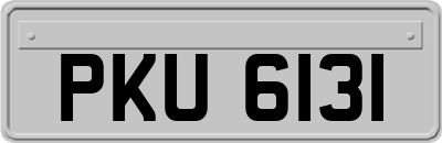 PKU6131