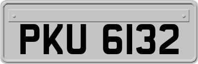 PKU6132