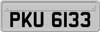 PKU6133