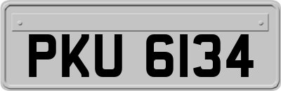 PKU6134