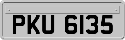 PKU6135