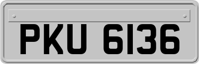 PKU6136