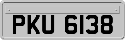 PKU6138