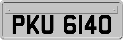 PKU6140