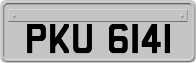 PKU6141