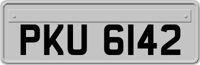 PKU6142