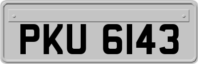 PKU6143