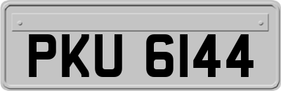 PKU6144