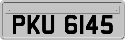 PKU6145