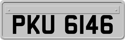 PKU6146