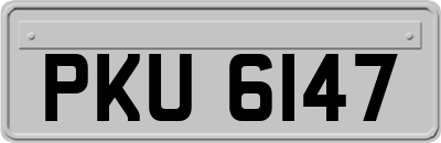 PKU6147