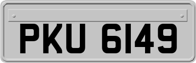 PKU6149