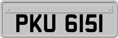 PKU6151