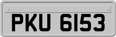 PKU6153