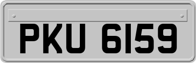 PKU6159