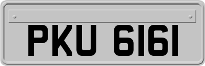 PKU6161