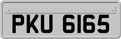PKU6165