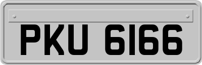 PKU6166