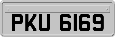 PKU6169