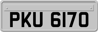 PKU6170