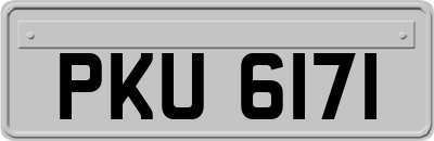 PKU6171