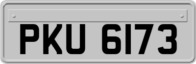 PKU6173