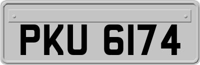 PKU6174