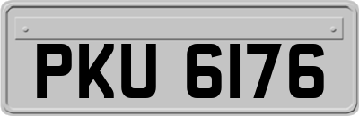 PKU6176