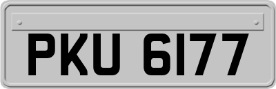 PKU6177