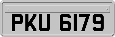 PKU6179