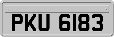PKU6183
