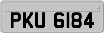 PKU6184