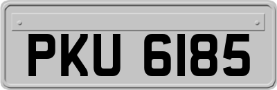 PKU6185