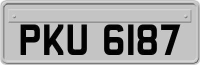PKU6187